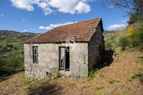 Landejendom i Baiao, Porto, Baiao - € 63.900 | Ref: AMTDR705/12937 - foto 2
