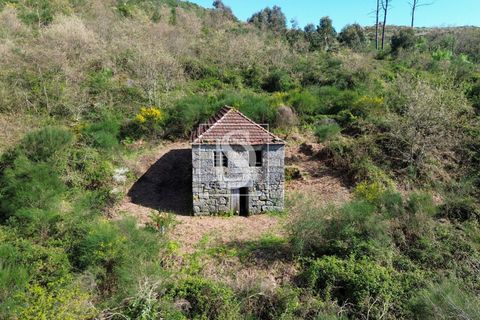 Landejendom i Baiao, Porto, Baiao - € 63.900 | Ref: AMTDR705/12937 - foto 3