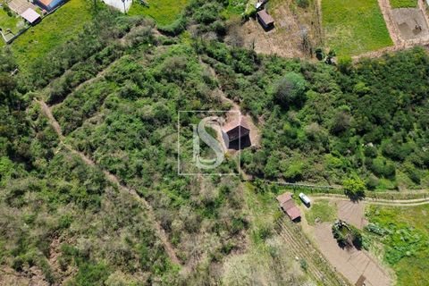 Landejendom i Baiao, Porto, Baiao - € 63.900 | Ref: AMTDR705/12937 - foto 6