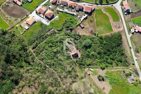 Landejendom i Baiao, Porto, Baiao - € 63.900 | Ref: AMTDR705/12937 - foto 7