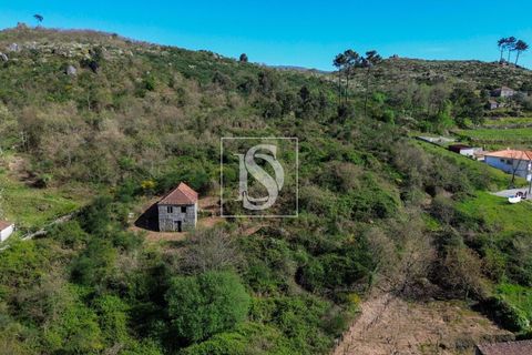 Landejendom i Baiao, Porto, Baiao - € 63.900 | Ref: AMTDR705/12937 - foto 8