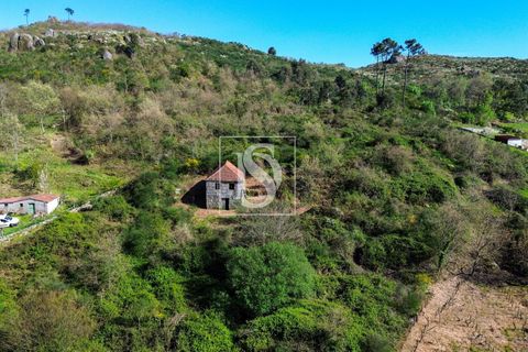 Landejendom i Baiao, Porto, Baiao - € 63.900 | Ref: AMTDR705/12937 - foto 9