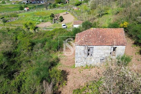 Landejendom i Baiao, Porto, Baiao - € 63.900 | Ref: AMTDR705/12937 - foto 10