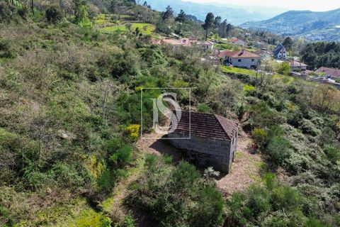 Landejendom i Baiao, Porto, Baiao - € 63.900 | Ref: AMTDR705/12937 - foto 12