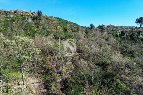 Landejendom i Baiao, Porto, Baiao - € 63.900 | Ref: AMTDR705/12937 - foto 13