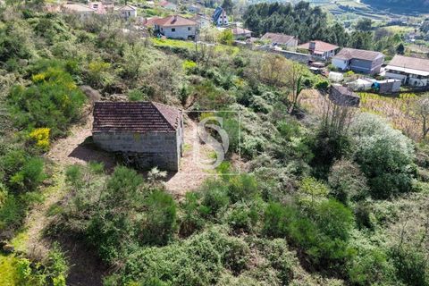 Landejendom i Baiao, Porto, Baiao - € 63.900 | Ref: AMTDR705/12937 - foto 14
