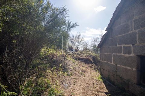 Landejendom i Baiao, Porto, Baiao - € 63.900 | Ref: AMTDR705/12937 - foto 15