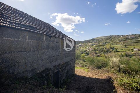 Landejendom i Baiao, Porto, Baiao - € 63.900 | Ref: AMTDR705/12937 - foto 16