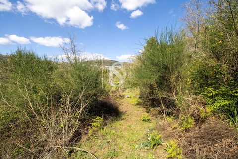 Landejendom i Baiao, Porto, Baiao - € 63.900 | Ref: AMTDR705/12937 - foto 17