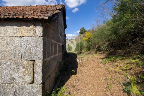 Landejendom i Baiao, Porto, Baiao - € 63.900 | Ref: AMTDR705/12937 - foto 18