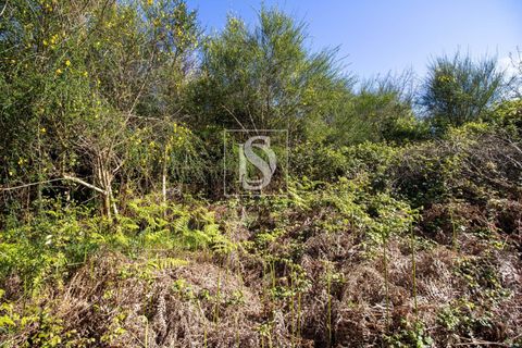 Landejendom i Baiao, Porto, Baiao - € 63.900 | Ref: AMTDR705/12937 - foto 19