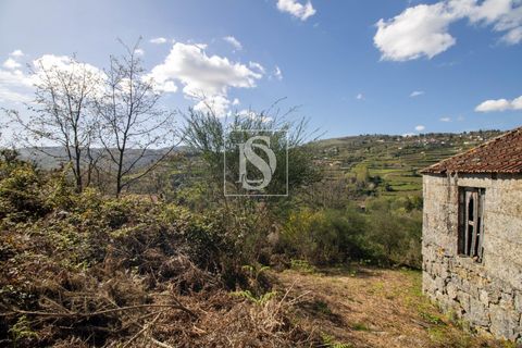 Landejendom i Baiao, Porto, Baiao - € 63.900 | Ref: AMTDR705/12937 - foto 20