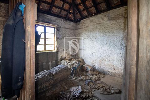 Landejendom i Baiao, Porto, Baiao - € 63.900 | Ref: AMTDR705/12937 - foto 23
