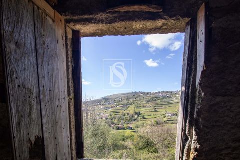 Landejendom i Baiao, Porto, Baiao - € 63.900 | Ref: AMTDR705/12937 - foto 25