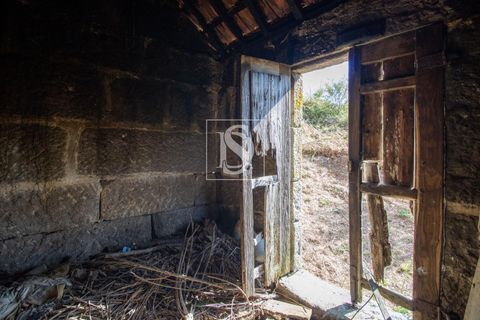 Landejendom i Baiao, Porto, Baiao - € 63.900 | Ref: AMTDR705/12937 - foto 27