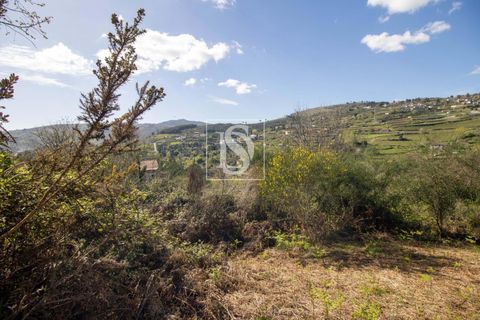 Landejendom i Baiao, Porto, Baiao - € 63.900 | Ref: AMTDR705/12937 - foto 29