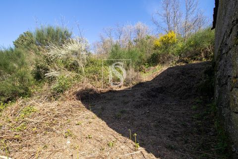 Landejendom i Baiao, Porto, Baiao - € 63.900 | Ref: AMTDR705/12937 - foto 31