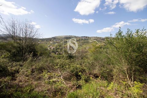 Landejendom i Baiao, Porto, Baiao - € 63.900 | Ref: AMTDR705/12937 - foto 32