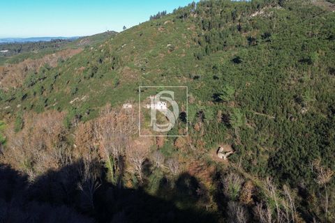 Landejendom i Amarante, Porto, Amarante - € 165.000 | Ref: DSAMTDF2/12937 - foto 1