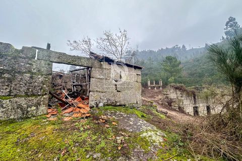Landejendom i Amarante, Porto, Amarante - € 165.000 | Ref: DSAMTDF2/12937 - foto 3
