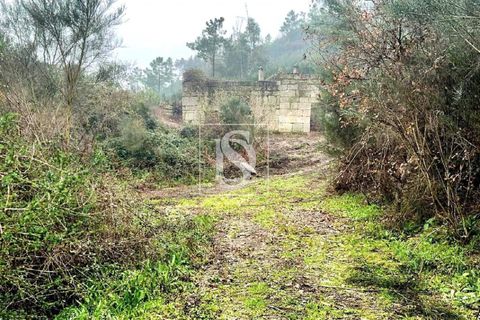Landejendom i Amarante, Porto, Amarante - € 165.000 | Ref: DSAMTDF2/12937 - foto 4