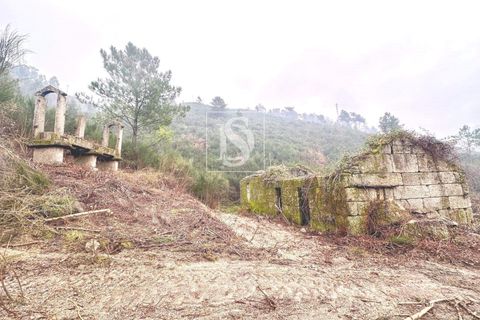 Landejendom i Amarante, Porto, Amarante - € 165.000 | Ref: DSAMTDF2/12937 - foto 5