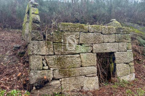 Landejendom i Amarante, Porto, Amarante - € 165.000 | Ref: DSAMTDF2/12937 - foto 7