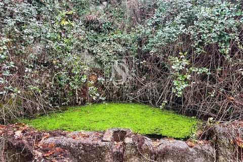 Landejendom i Amarante, Porto, Amarante - € 165.000 | Ref: DSAMTDF2/12937 - foto 8