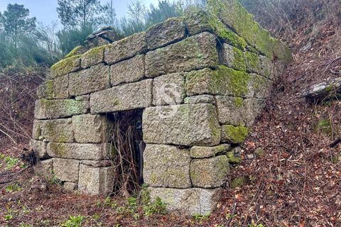 Landejendom i Amarante, Porto, Amarante - € 165.000 | Ref: DSAMTDF2/12937 - foto 9
