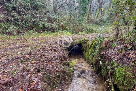 Landejendom i Amarante, Porto, Amarante - € 165.000 | Ref: DSAMTDF2/12937 - foto 10