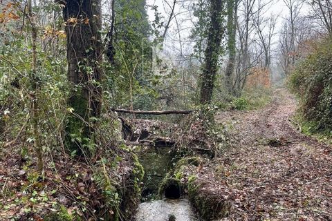 Landejendom i Amarante, Porto, Amarante - € 165.000 | Ref: DSAMTDF2/12937 - foto 11