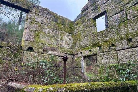 Landejendom i Amarante, Porto, Amarante - € 165.000 | Ref: DSAMTDF2/12937 - foto 13