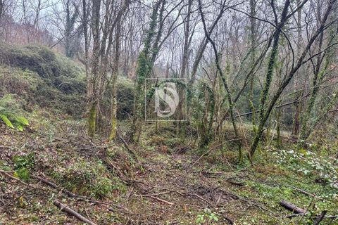 Landejendom i Amarante, Porto, Amarante - € 165.000 | Ref: DSAMTDF2/12937 - foto 15