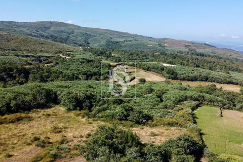 Villa en Amarante, Porto, Amarante - € 46.500 | Ref: AMTRM543/12937 - photo 41