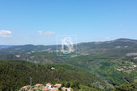 Villa en Amarante, Porto, Amarante - € 46.500 | Ref: AMTRM543/12937 - photo 44