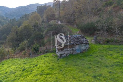 Helårsgrund i Amarante, Porto, Amarante - € 21.150 | Ref: DSAMTCR83/12937 - foto 3