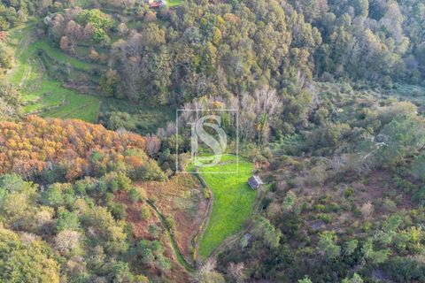 Helårsgrund i Amarante, Porto, Amarante - € 21.150 | Ref: DSAMTCR83/12937 - foto 5