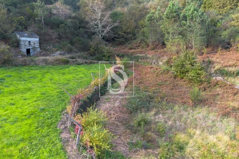 Helårsgrund i Amarante, Porto, Amarante - € 21.150 | Ref: DSAMTCR83/12937 - foto 7