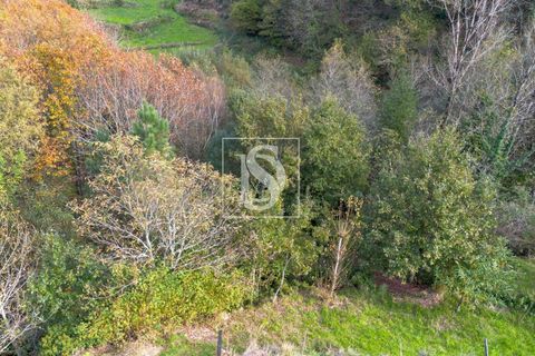 Helårsgrund i Amarante, Porto, Amarante - € 21.150 | Ref: DSAMTCR83/12937 - foto 8