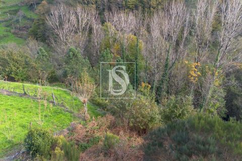 Helårsgrund i Amarante, Porto, Amarante - € 21.150 | Ref: DSAMTCR83/12937 - foto 9