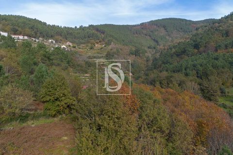 Helårsgrund i Amarante, Porto, Amarante - € 21.150 | Ref: DSAMTCR83/12937 - foto 10