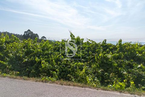 Helårsgrund i Amarante, Porto, Amarante - € 37.500 | Ref: DSAMTJD7/12937 - foto 3