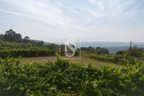 Helårsgrund i Amarante, Porto, Amarante - € 37.500 | Ref: DSAMTJD7/12937 - foto 4