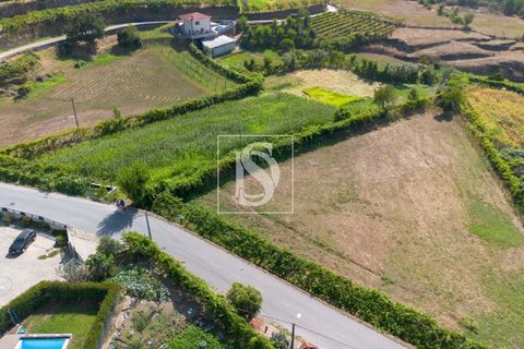 Helårsgrund i Amarante, Porto, Amarante - € 37.500 | Ref: DSAMTJD7/12937 - foto 6
