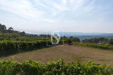 Helårsgrund i Amarante, Porto, Amarante - € 37.500 | Ref: DSAMTJD7/12937 - foto 22