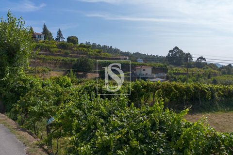 Helårsgrund i Amarante, Porto, Amarante - € 37.500 | Ref: DSAMTJD7/12937 - foto 23