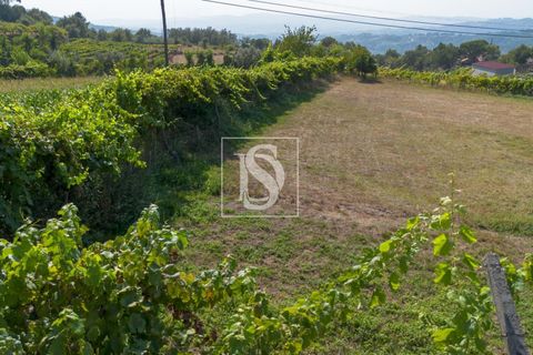 Helårsgrund i Amarante, Porto, Amarante - € 37.500 | Ref: DSAMTJD7/12937 - foto 25