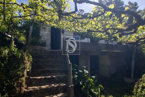 Villa i Amarante, Porto, Amarante - € 53.000 | Ref: DSAMTFC1/12937 - foto 6