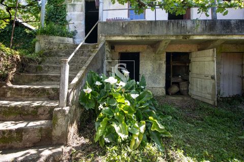 Villa i Amarante, Porto, Amarante - € 53.000 | Ref: DSAMTFC1/12937 - foto 17