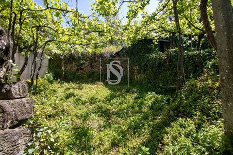 Villa i Amarante, Porto, Amarante - € 53.000 | Ref: DSAMTFC1/12937 - foto 21